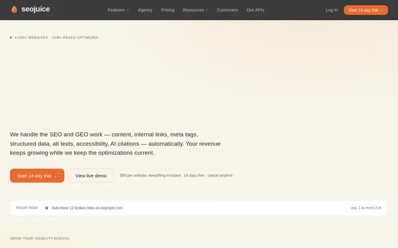 Screenshot of the SEOJuice homepage