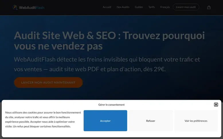 Screenshot of the WebAuditFlash homepage